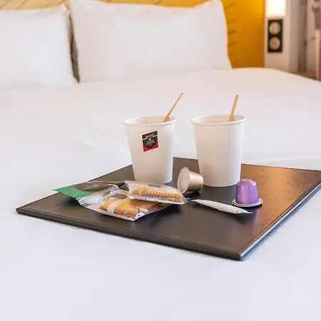 Centre Grand Palais Otel 3*